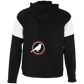 OPG Custom Design #24. Ornithologist. A person who studies or is an expert on birds. Youth Athletic Colorblock Fleece Hoodie
